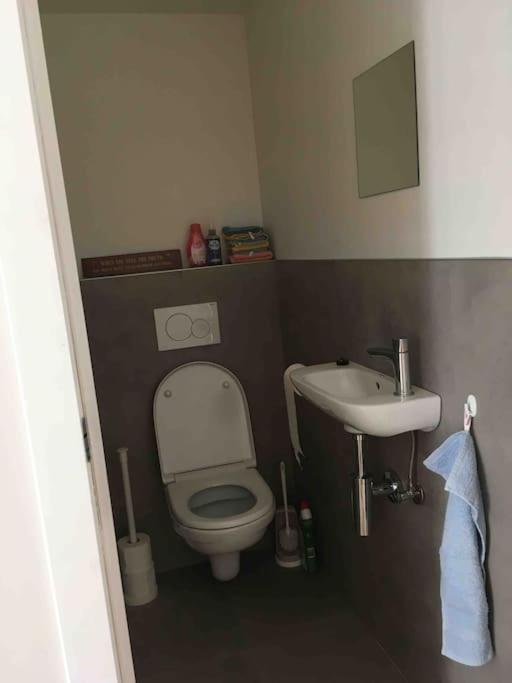 'Het T-Huisje' Volledig Ingerichte Studio Löwen Exterior foto